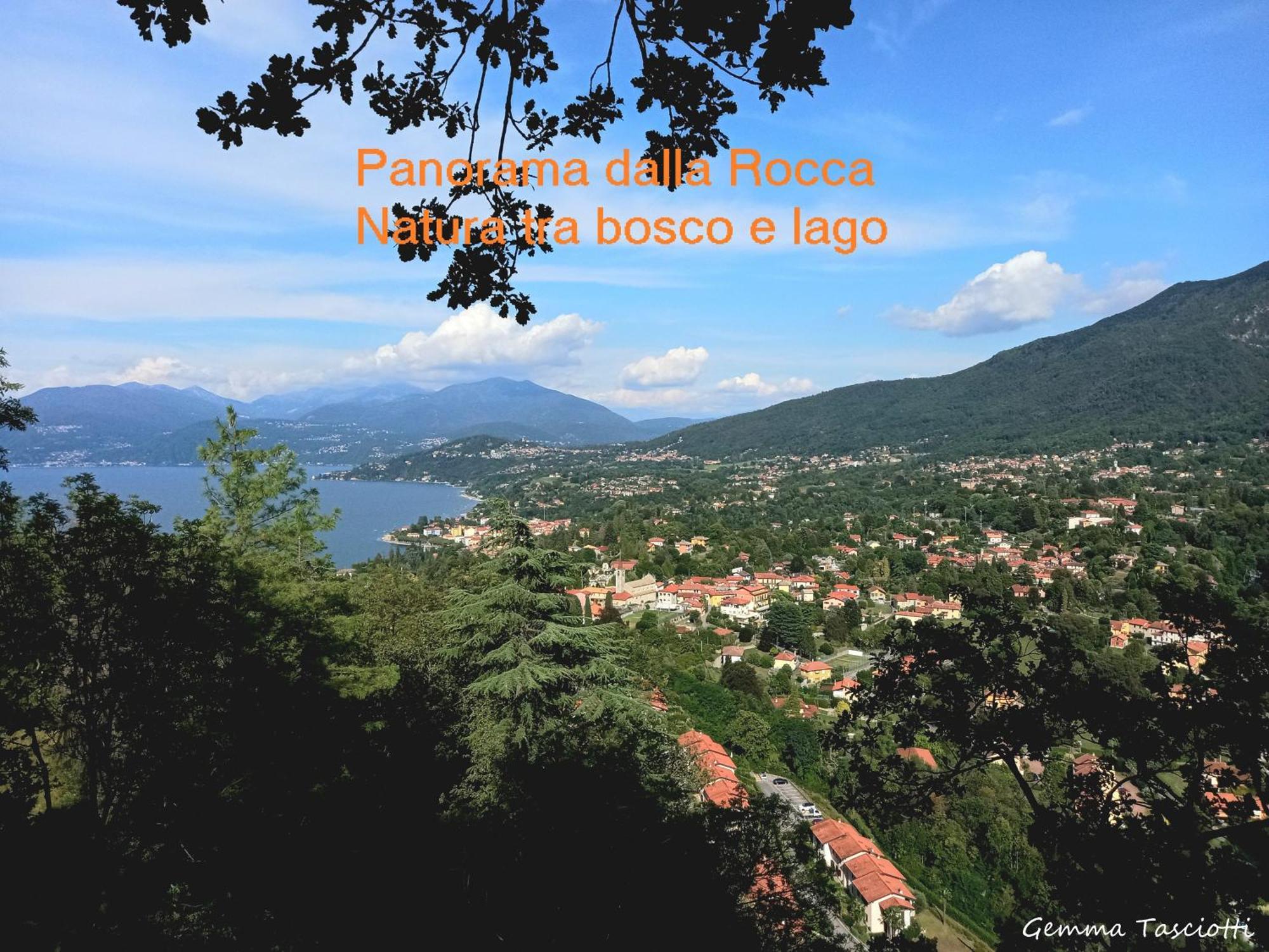 Natura Tra Bosco E Lago Castelveccana Exterior foto